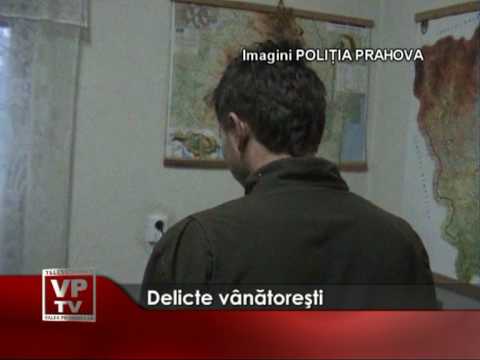 Delicte vânătoreşti