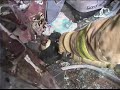 tecnica de rescate para bomberos 