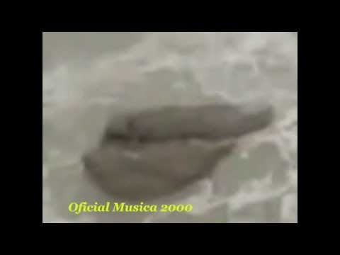 Aparición - SIRENA EN ISRAEL 2013 Avistamiento Aparicion Real Increible Video SUBSCRIBE ++++++++ Oficial Musica 2000 ++++++++++ http://youtu.be/ksYbW_kvChU.