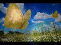 Cool whispers by Ike Yoshihiro