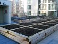 Freesia Condo Roof Gardens