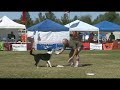 Handler Highlight: Darron Barrus Handler Highlight: Darron Barrus