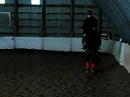 Swedish warmblood in beginings of training with my coach