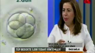 Seval Taşdemir-25