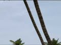 UFO Chumbe Island
