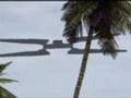 UFO Chumbe Island