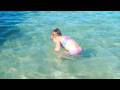 videos de family