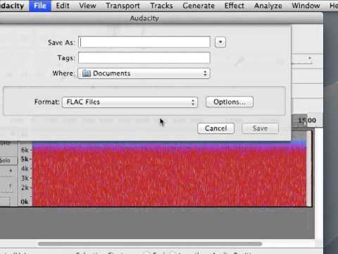 DIY Tinnitus Treatment: Notching Your White Noise Track with Audacity