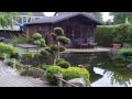 Video ansehen