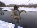 White Bass in the Snow 3 White Bass in the Snow 3
