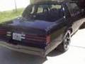 Regal Polished and bumpers Installed