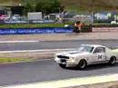 Shelby Mustang