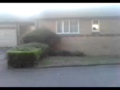 MOV00977(1)Tg(1)TYJG