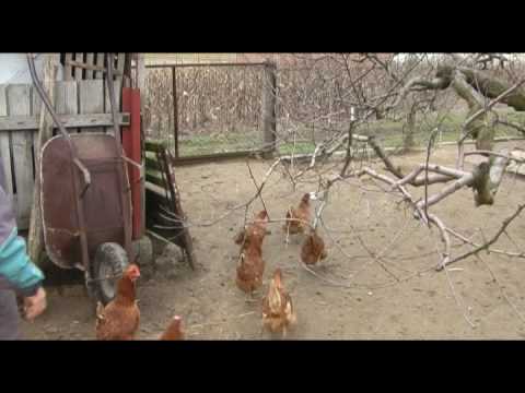 YouTube előnézeti kép