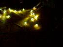 Zen�s LED heppening a Szigeten