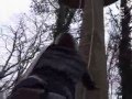 L'arbre cabane
