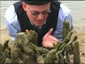 CapeCast Looks for the Scorton Creek Monster