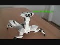 Jucarii inteligente, roboti - ROBOQUAD Jucarii inteligente, roboti - ROBOQUAD