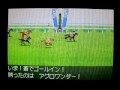 ダービースタリオン