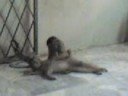 Suami%20Dan%20Isteri%20Paham-paham%20Je%20La