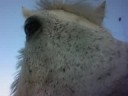Chocapic