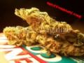 Extremely Beautiful Buds
