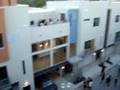 The Bel Air lofts roof top decks with greenbelt views