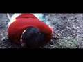 Roja - Inam Maaralaam ( Manirathnam, A R Rehman)