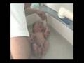 Chantal Pary -- Si C est Un Garcon --