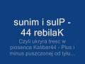 Plus i minus - backmasking ver. 2.0