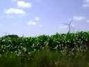 windmills