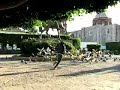 La Venganza de las Palomas La Venganza de las Palomas