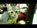 フクちゃん 笑顔のかたち.mpg
