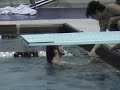 diving blooper