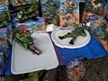 Polish Action Figures 2