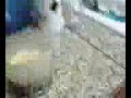 Thumbnail #3