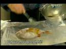 red snapper