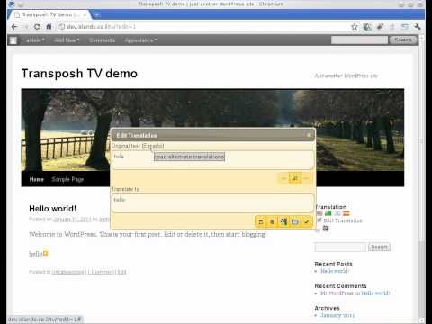 YouTube Video