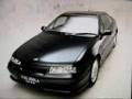 calibra promotion