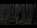 Shalo - Ek'os rekken