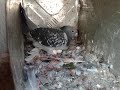 صور حمام - معتصم
