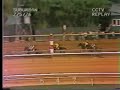 Foolish Pleasure - 1976 Suburban Handicap Foolish Pleasure - 1976 Suburban Handicap