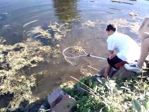 Jeff Kelm - This video was uploaded from an Android phone.