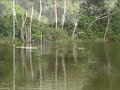 Stilt Village in Borneo ( Trip to fishing village hidden in the jungle)