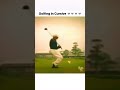 Golfing in cursive ?⛳