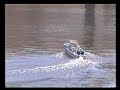 1941 S-38 Class Schnellboot Part I of 2 1941 S-38 Class Schnellboot Part I of 2