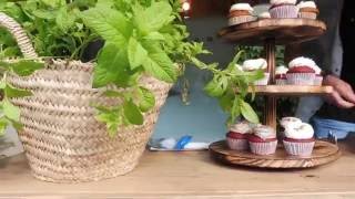 Sígueme por Barcelona