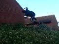 bush jump 1