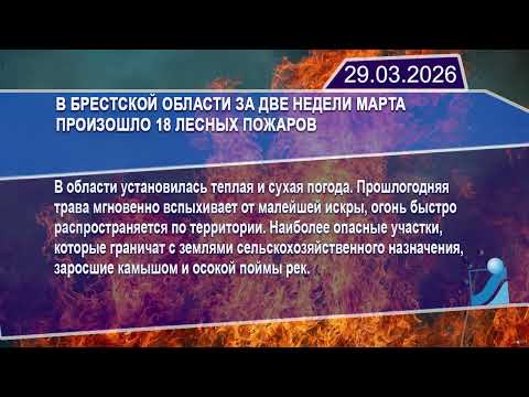 Новостная лента Телеканала Интекс 29.03.26.