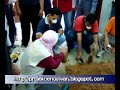 Projek Cendawan Tiram Kelabu Projek Cendawan Tiram Kelabu